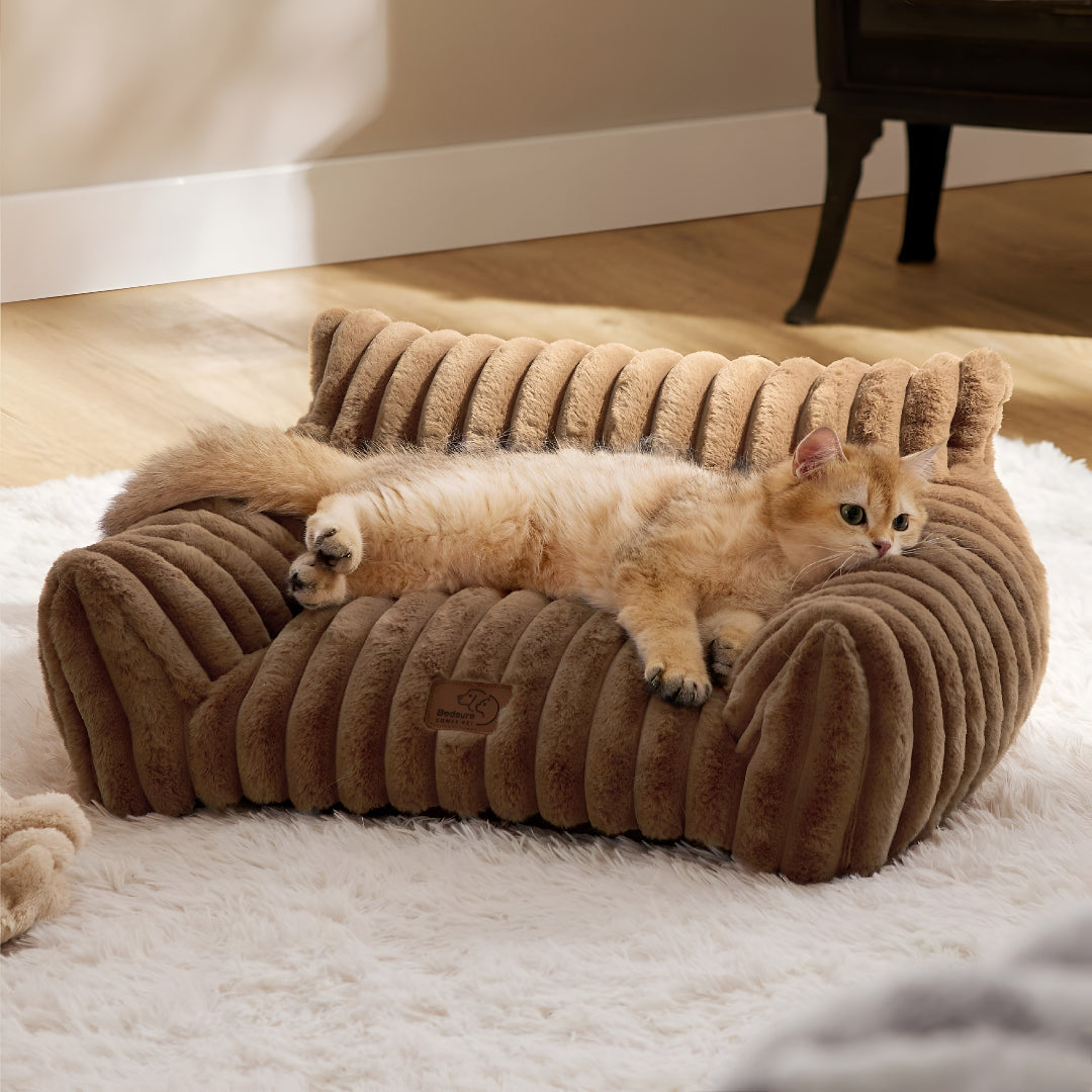 Why Every Pet Deserves A Comfortable Cozy Bed